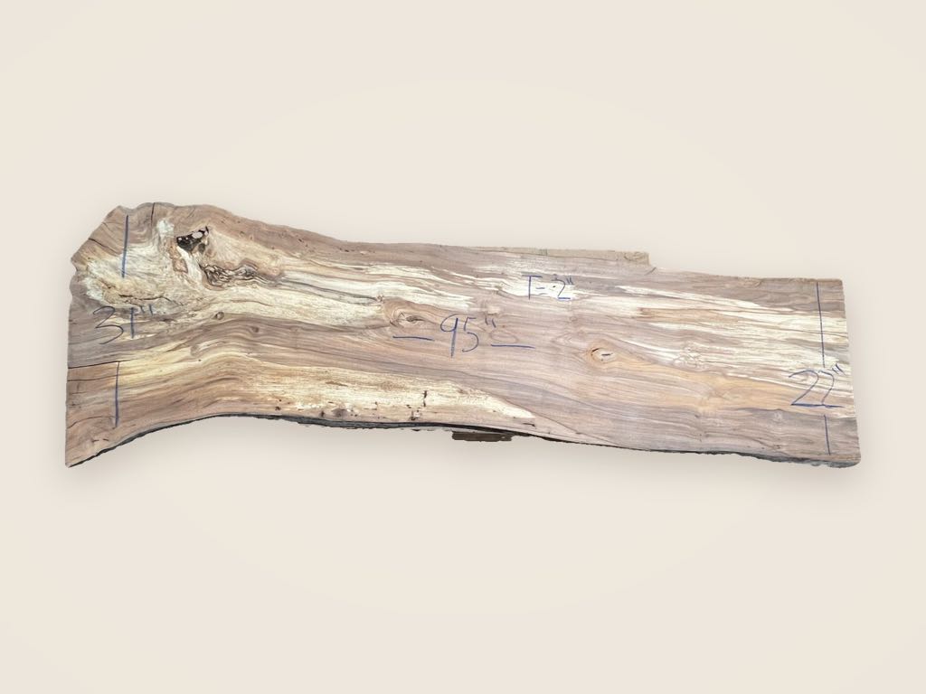 Slab A 2, alder, photographed from above on a plain backdrop