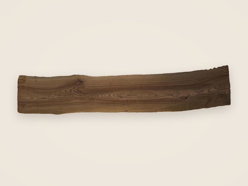 Slab AE 27, American elm