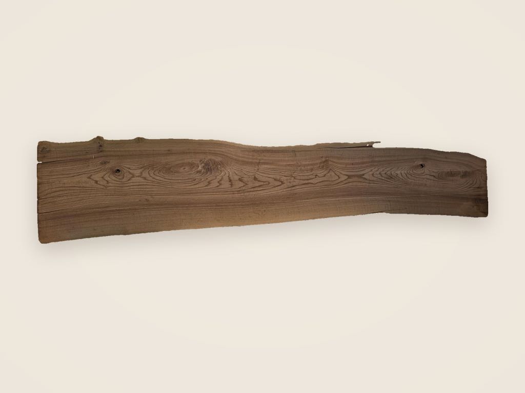 Slab AE 32, American elm