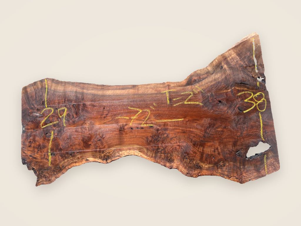 Slab BW 137, black walnut