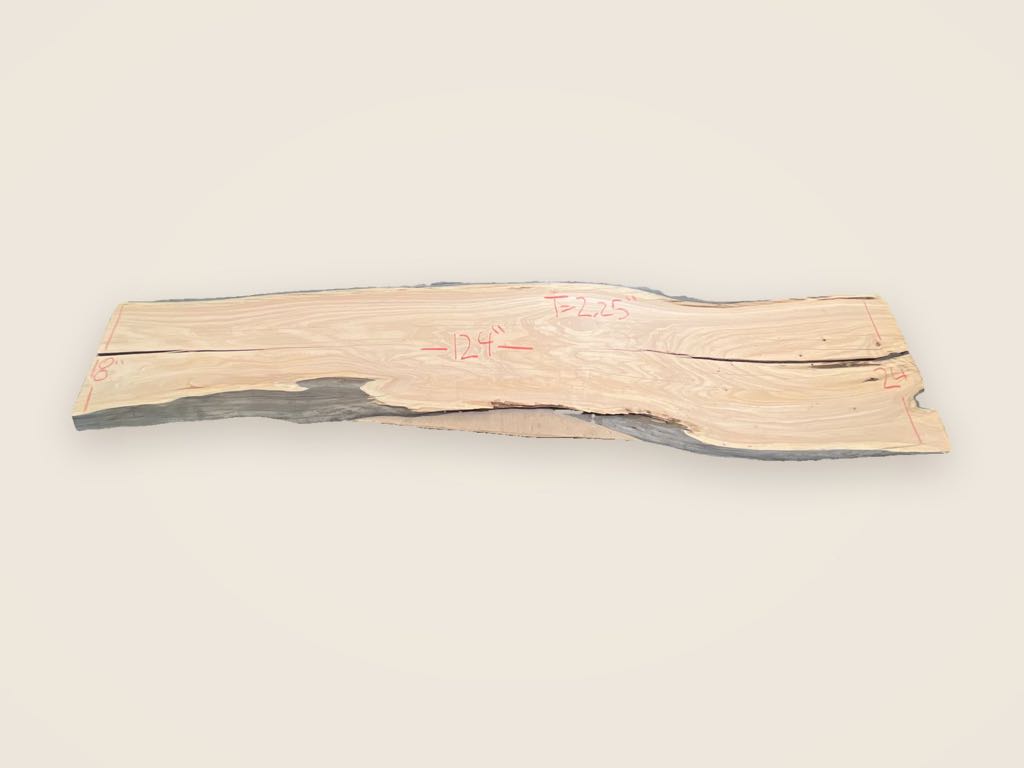 Slab MC 41, Monterey cypress, photographed from above on a plain backdrop