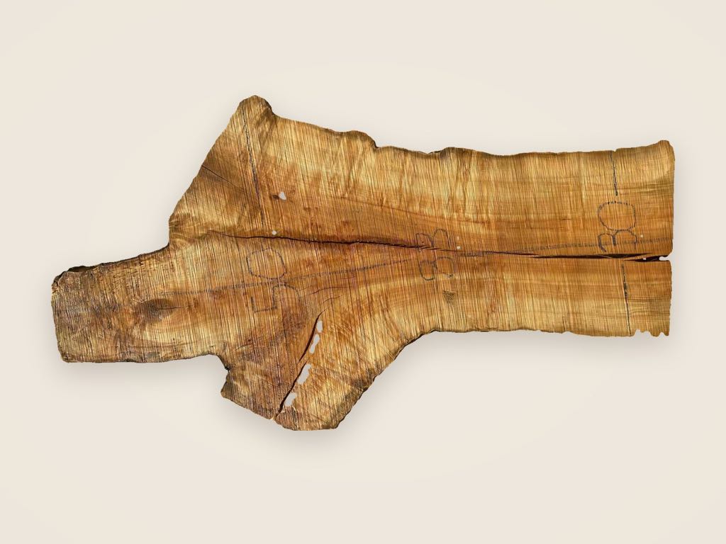 Slab SM 11, silver maple