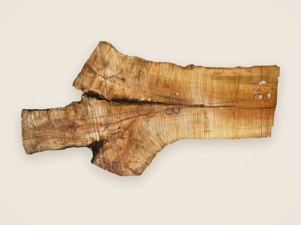Slab SM 12, silver maple