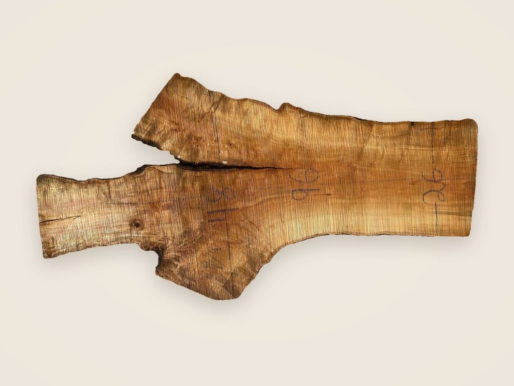 Slab SM 13, silver maple, photographed from above on a plain backdrop