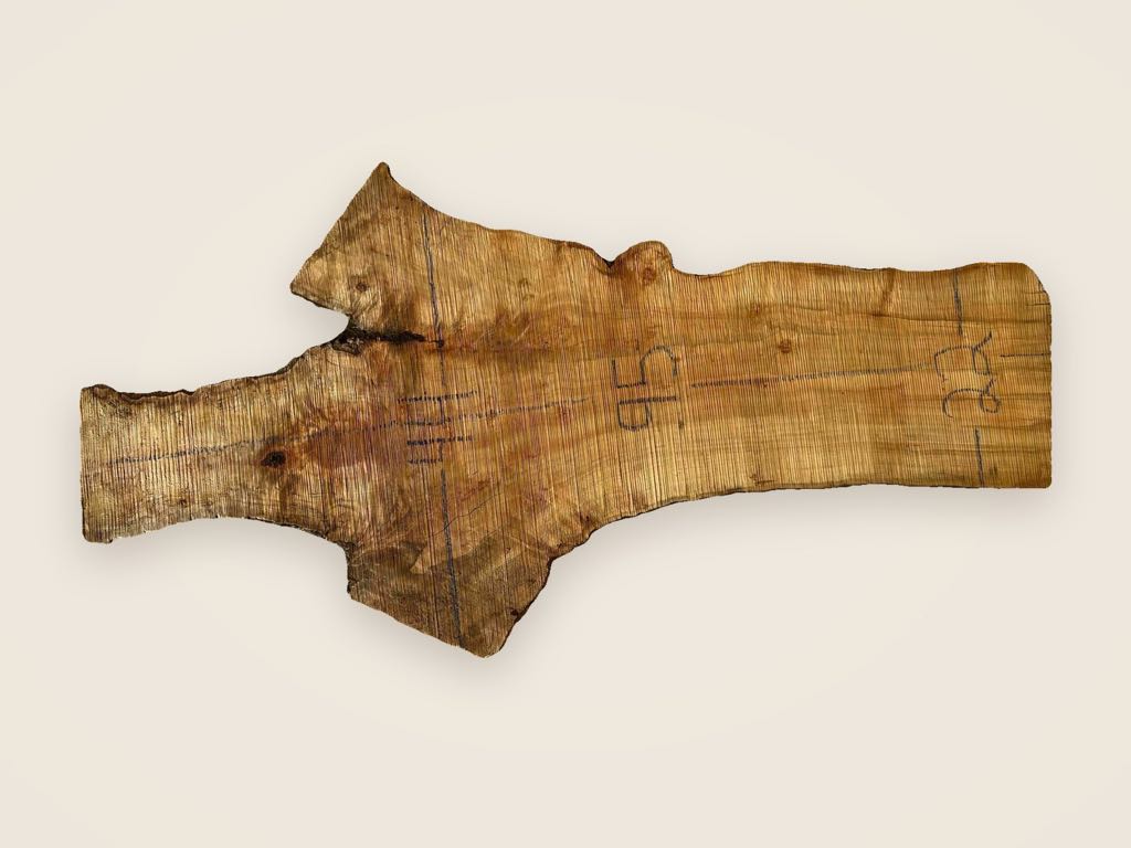 Slab SM 14, silver maple