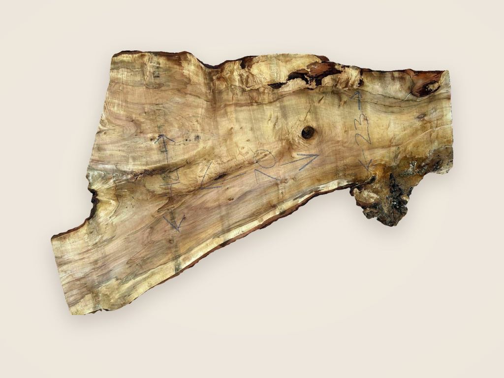 Slab SM 20, silver maple