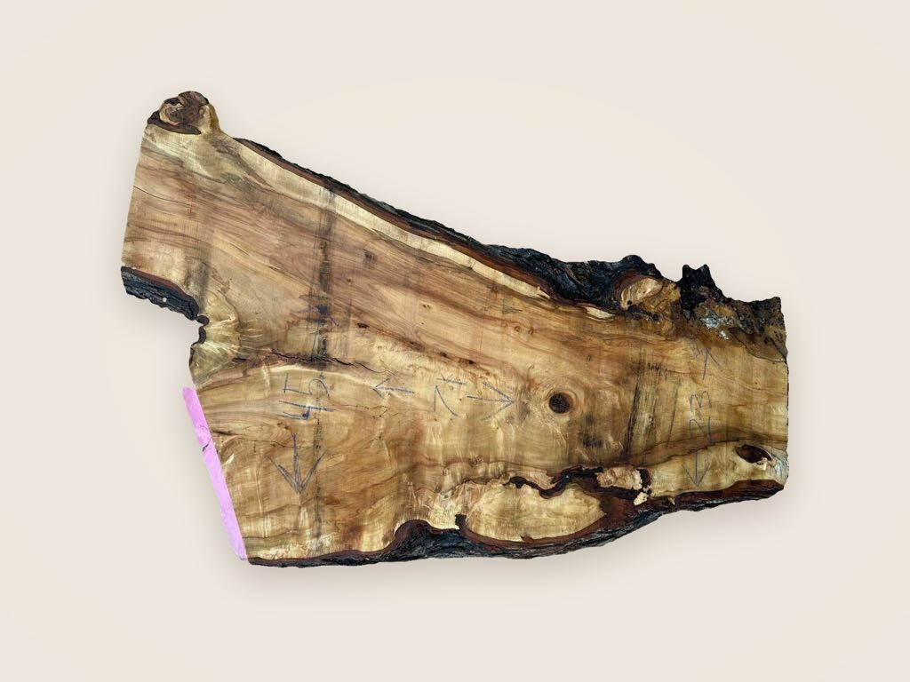 Slab SM 21, silver maple