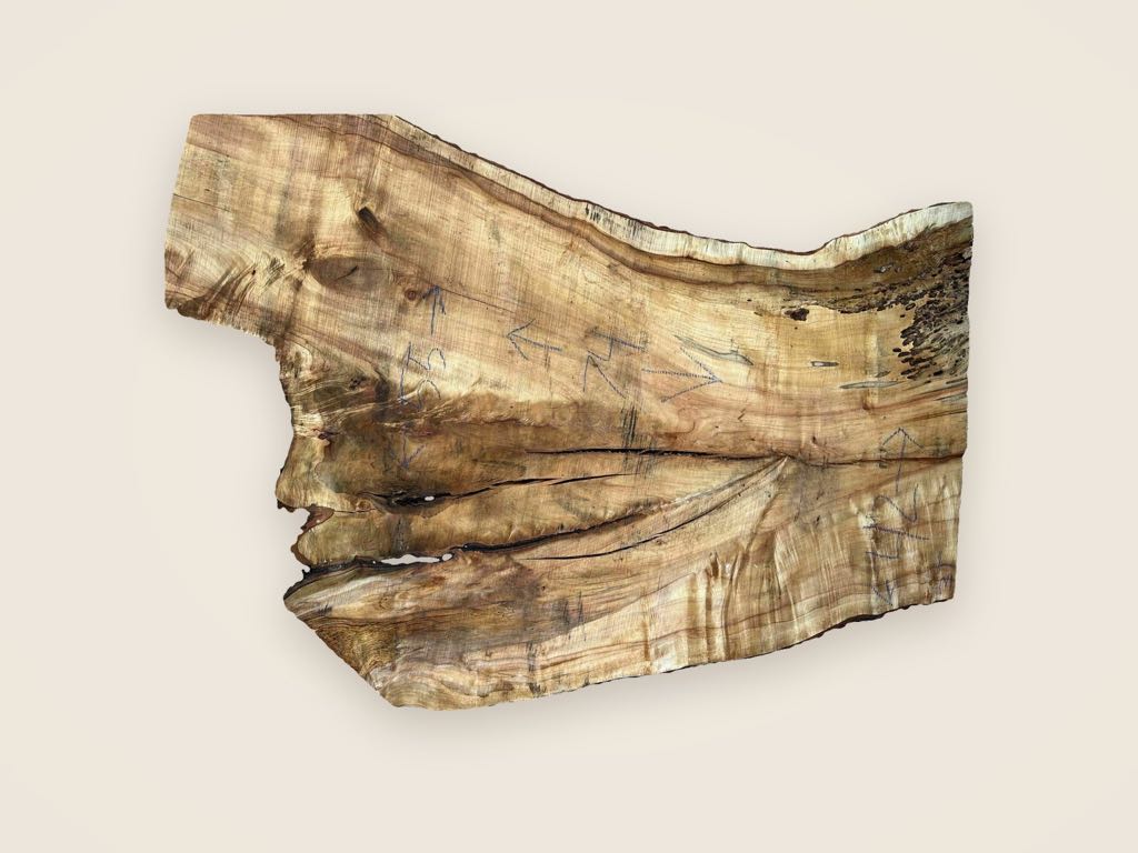 Slab SM 24, silver maple