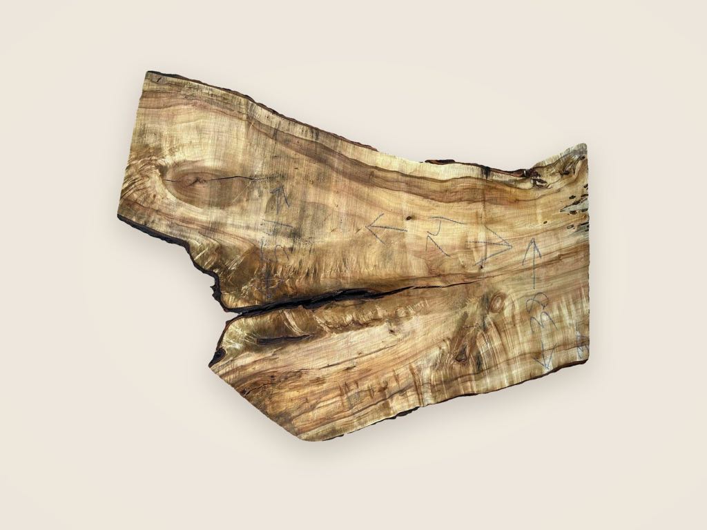 Slab SM 25, silver maple