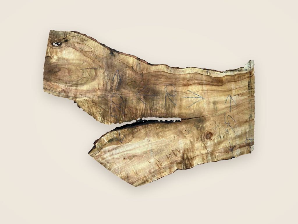 Slab SM 26, silver maple