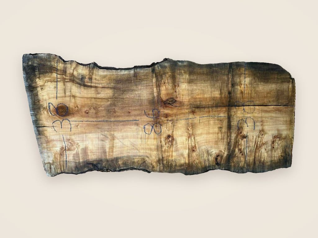 Slab SM1 4, silver maple