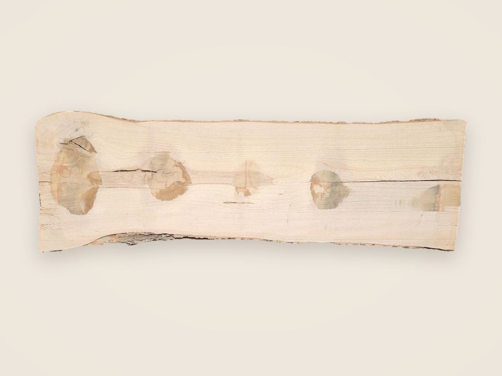 Slab WA 29, white ash, photographed from above on a plain backdrop