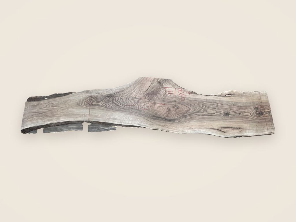Slab WE 31, English walnut, photographed from above on a plain backdrop
