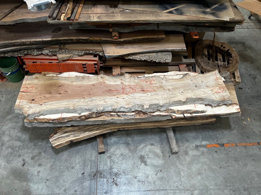Slab A 5, alder, photographed in the yard