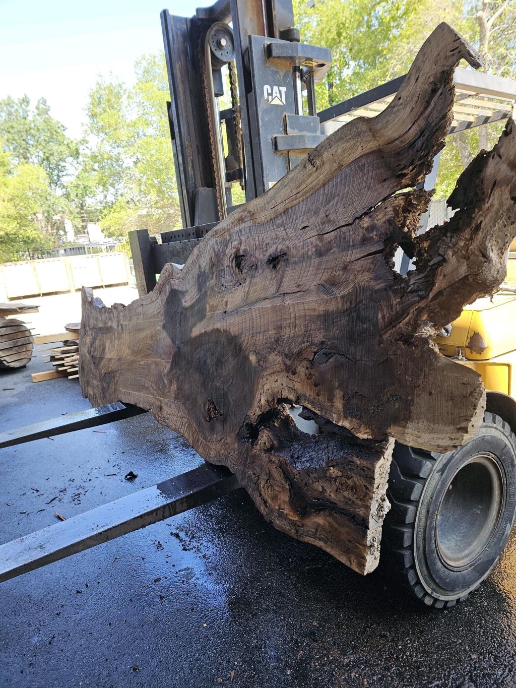Slab BW 27, black walnut