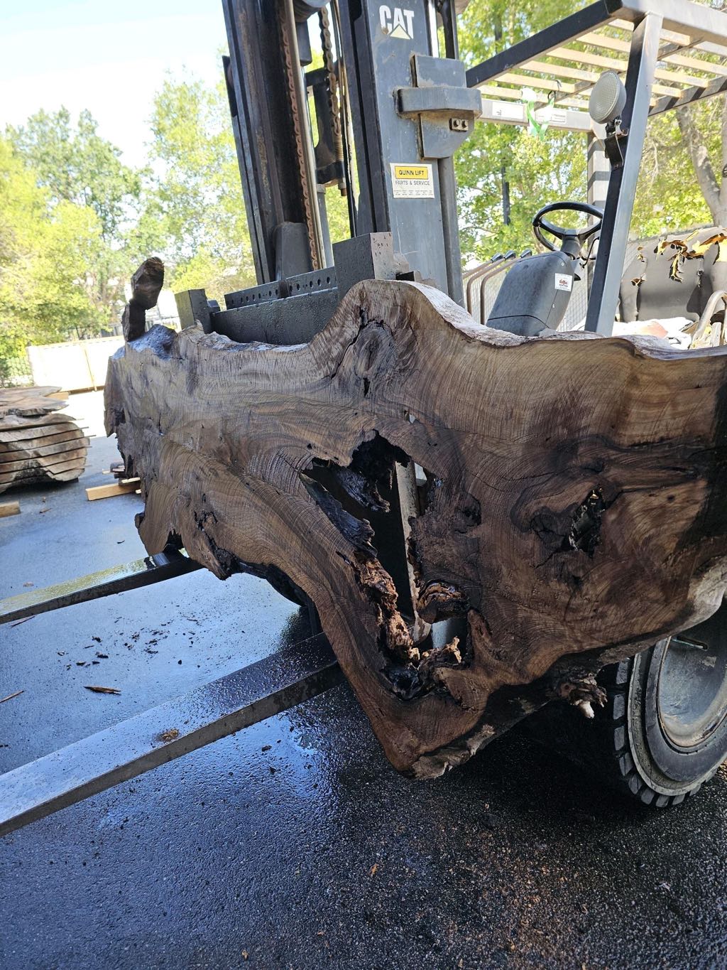 Slab BW 38, black walnut