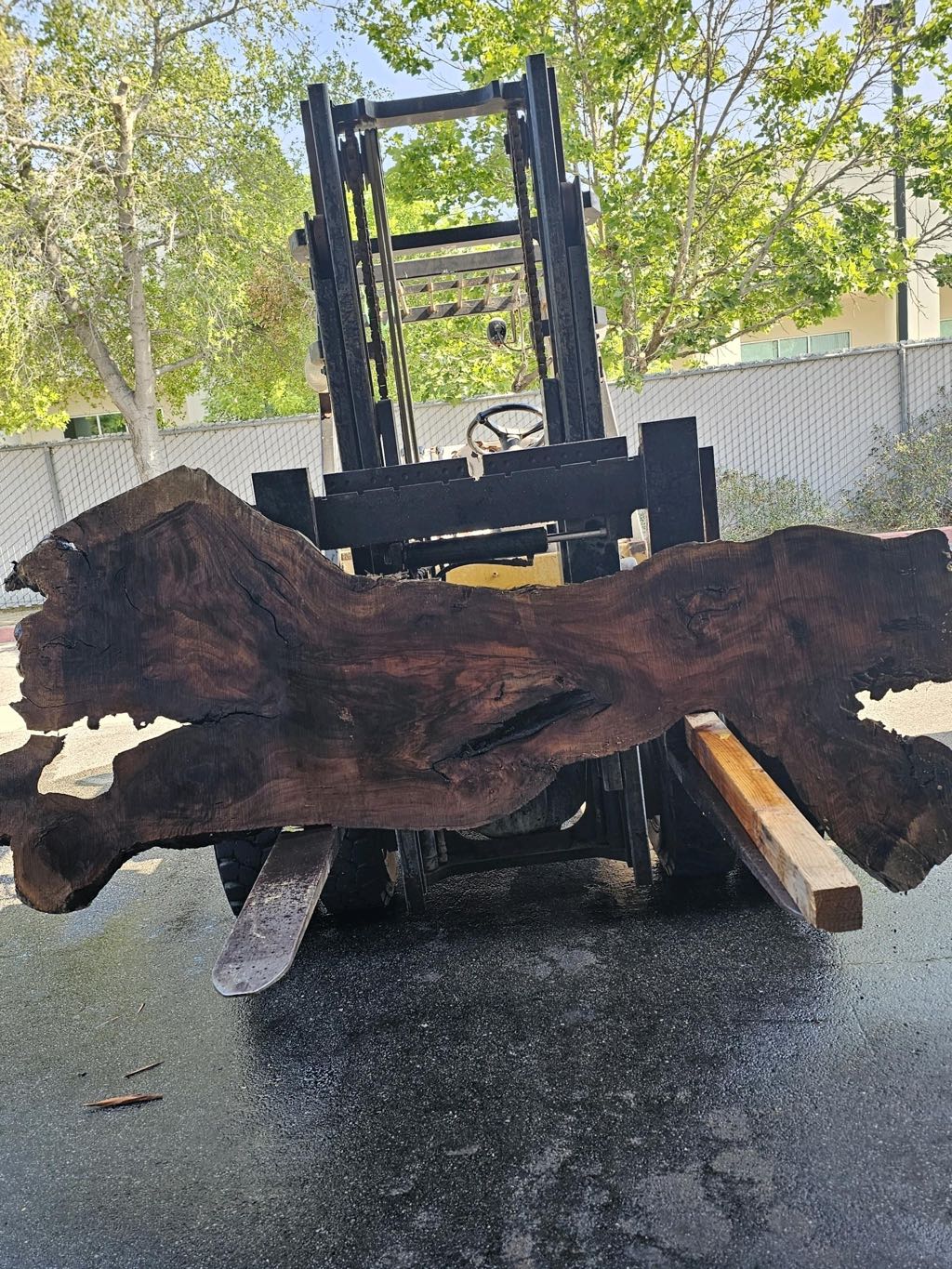 Slab BW 39, black walnut
