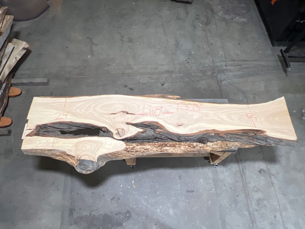 Slab MC 42, Monterey cypress, photographed in the yard