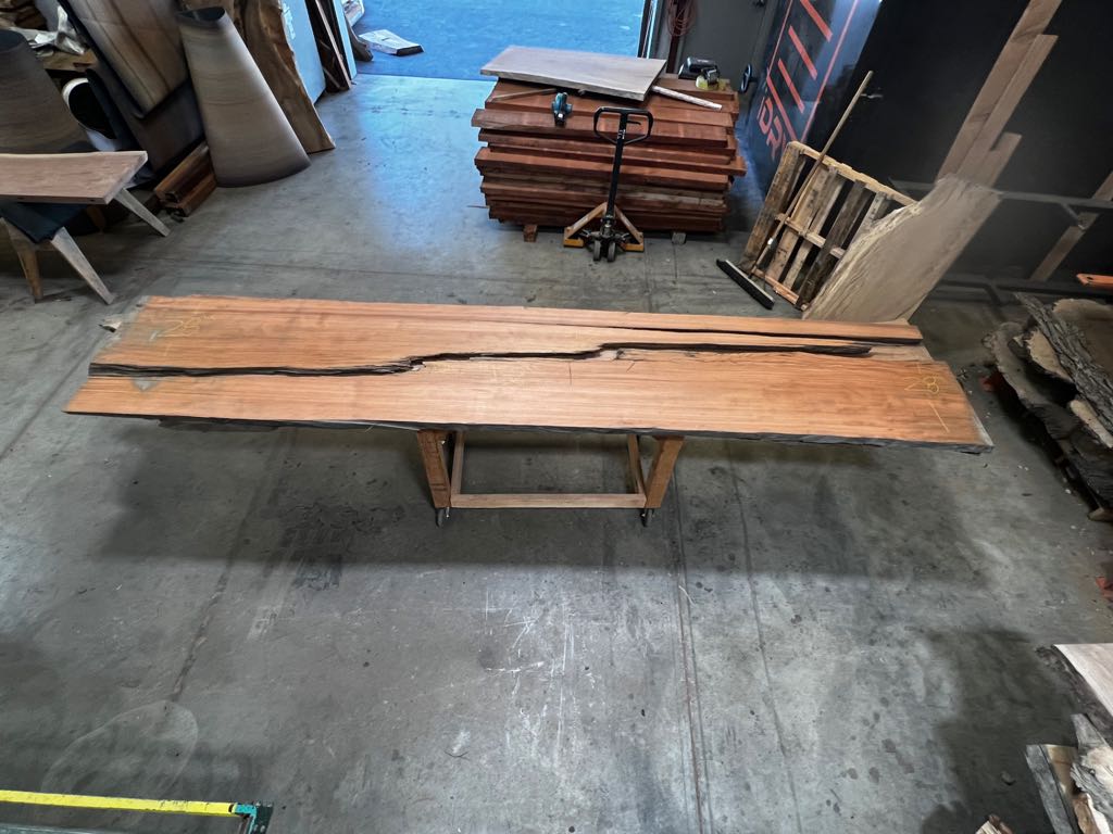 Slab RW 33, redwood, photographed in the yard