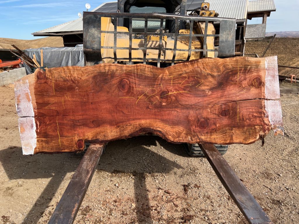 Slab RW 39, redwood
