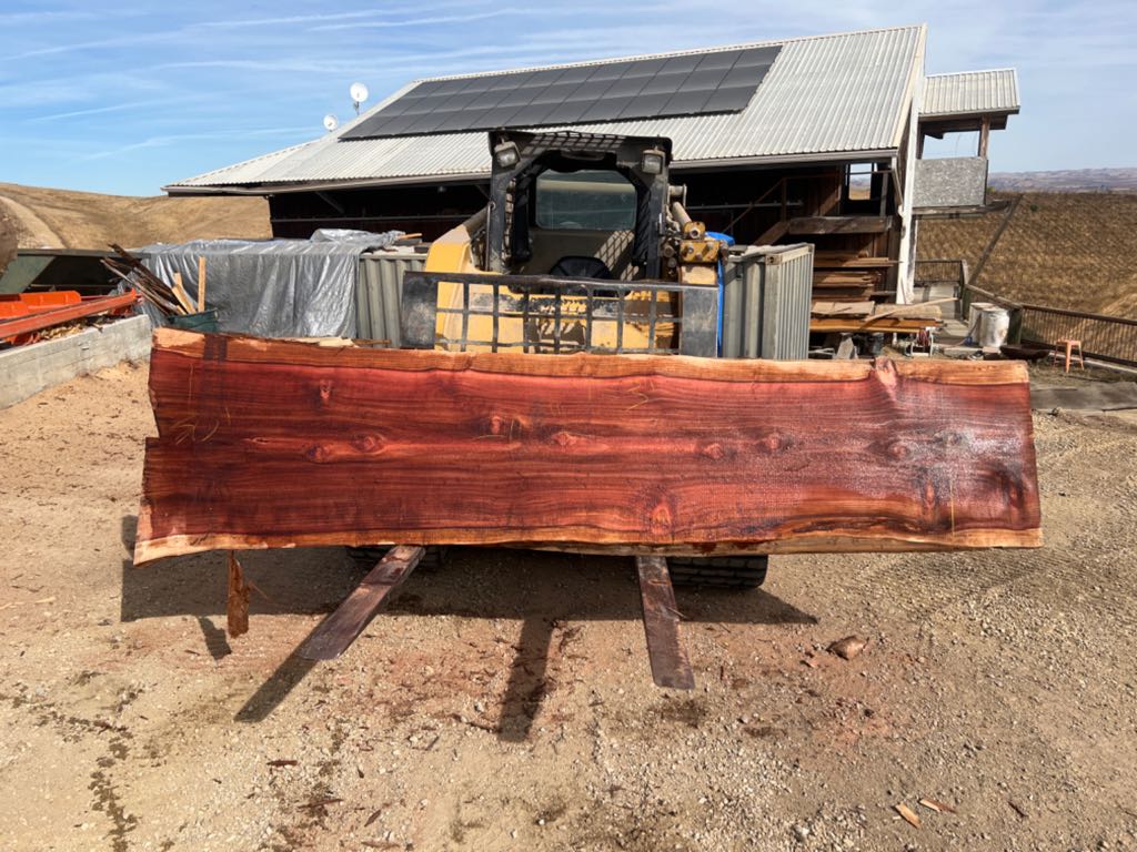 Slab RW 41, redwood