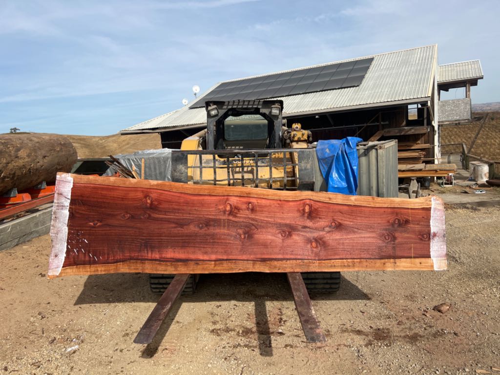 Slab RW 44, redwood