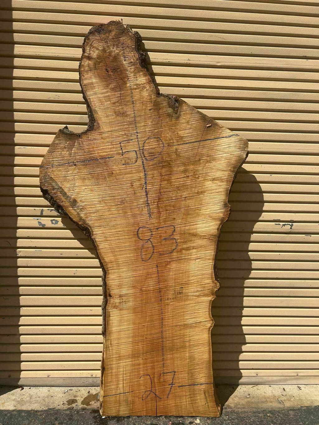 Slab SM 10, silver maple