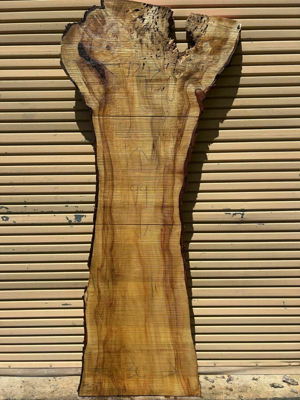 Slab SM 27, silver maple, photographed in the yard