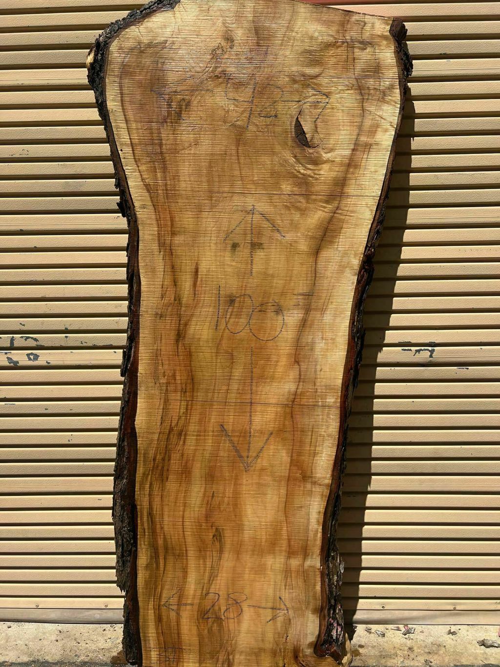 Slab SM 28, silver maple