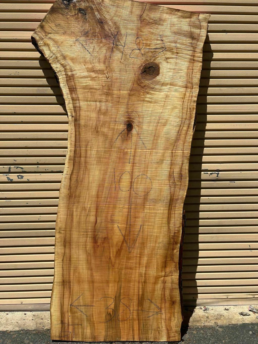 Slab SM 30, silver maple