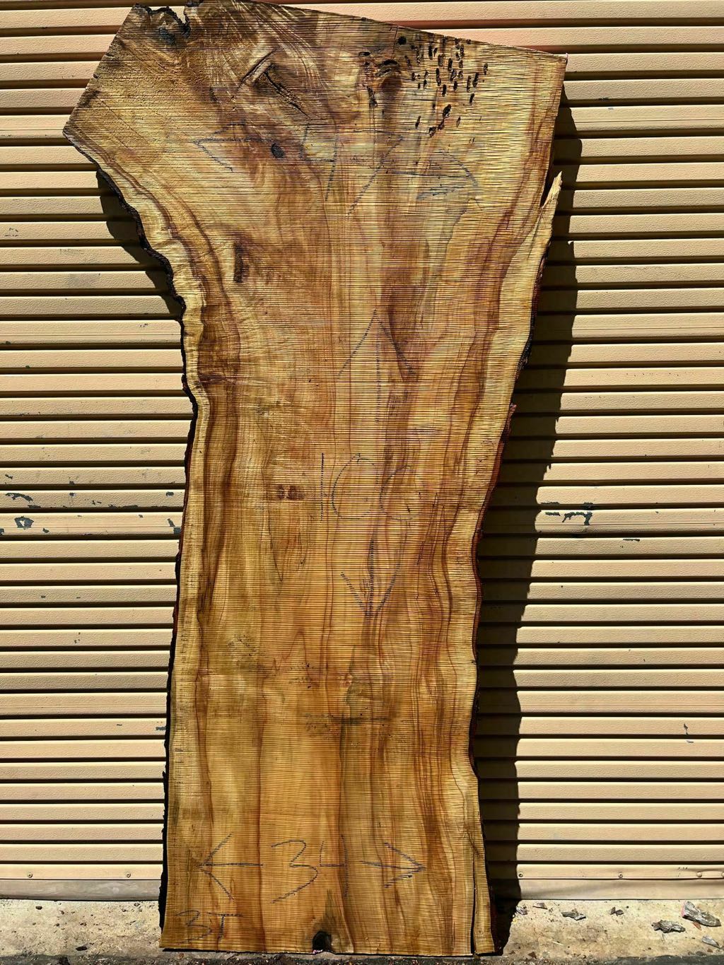 Slab SM 33, silver maple