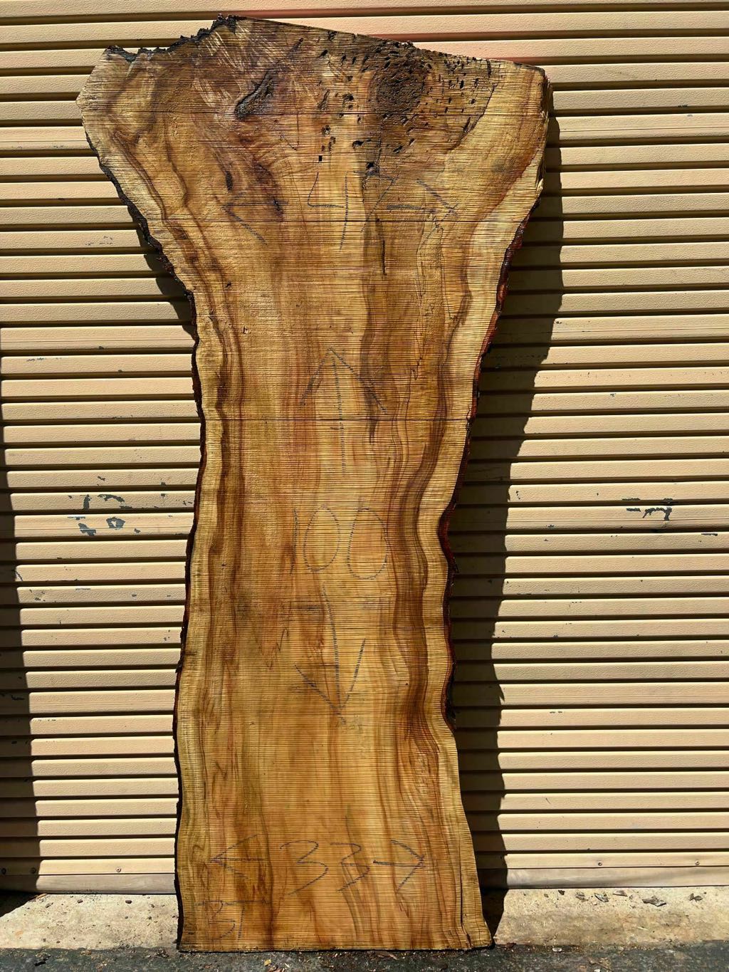 Slab SM 34, silver maple