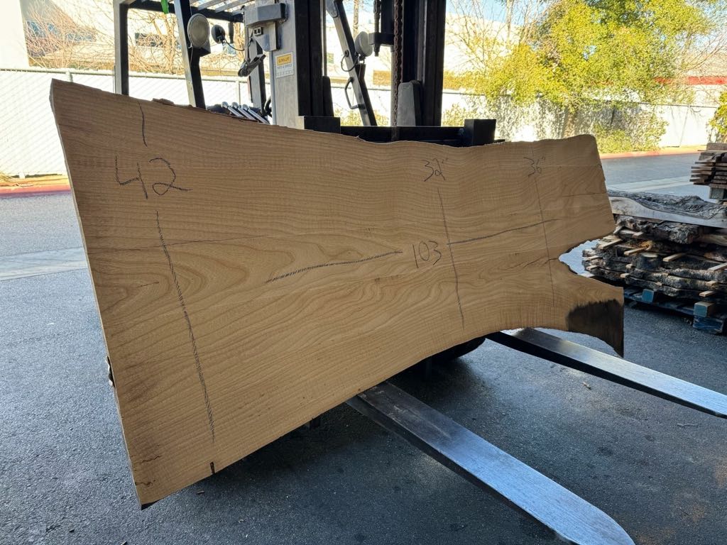 Slab WA 16, white ash