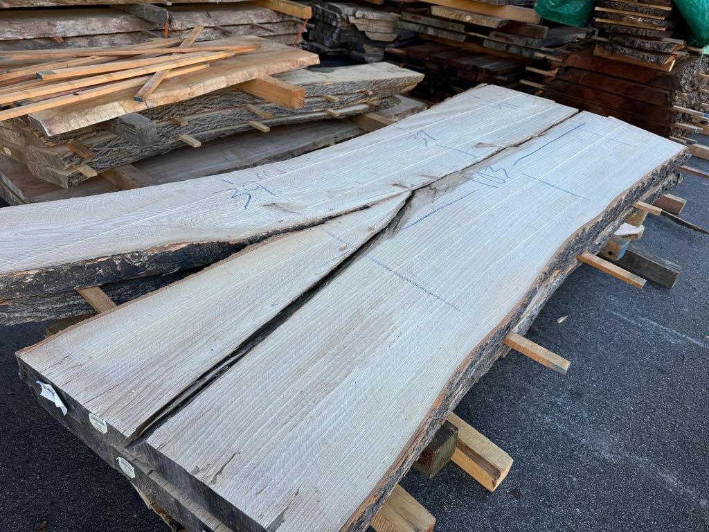 Slab WA 19, white ash
