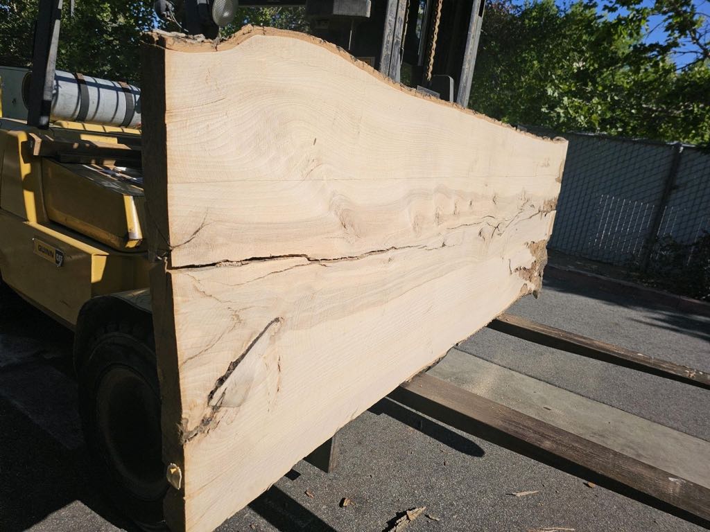 Slab WA 27, white ash