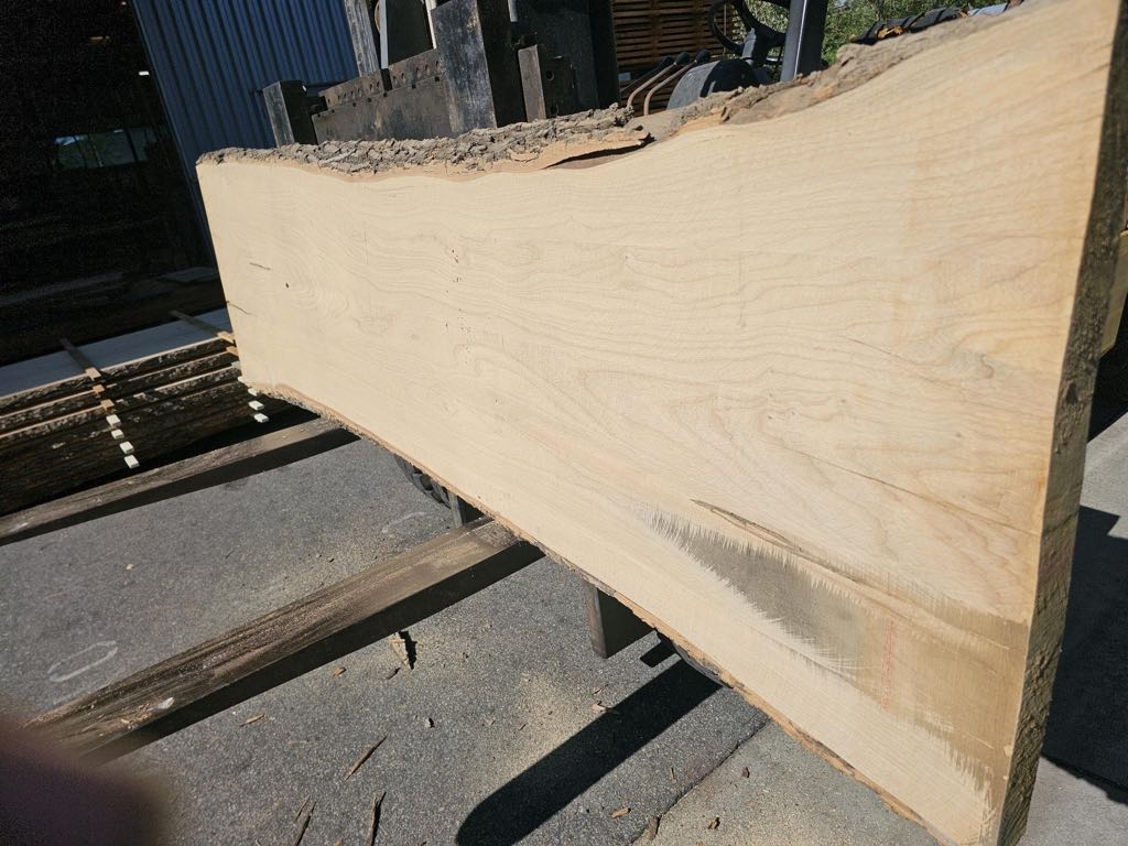 Slab WA 31, white ash