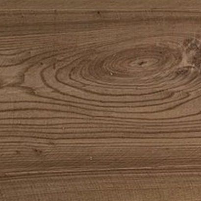 American elm swatch