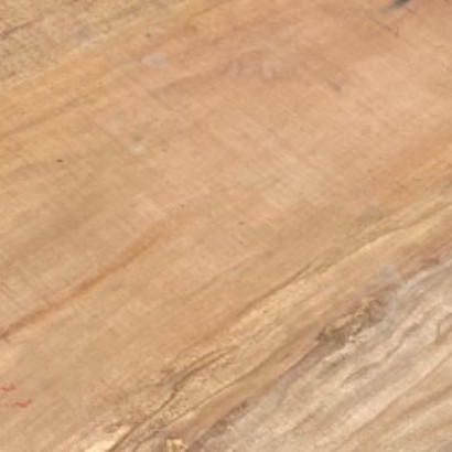 Sycamore swatch