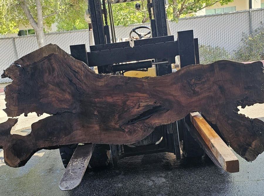 A walnut slab on the forklift in our yard