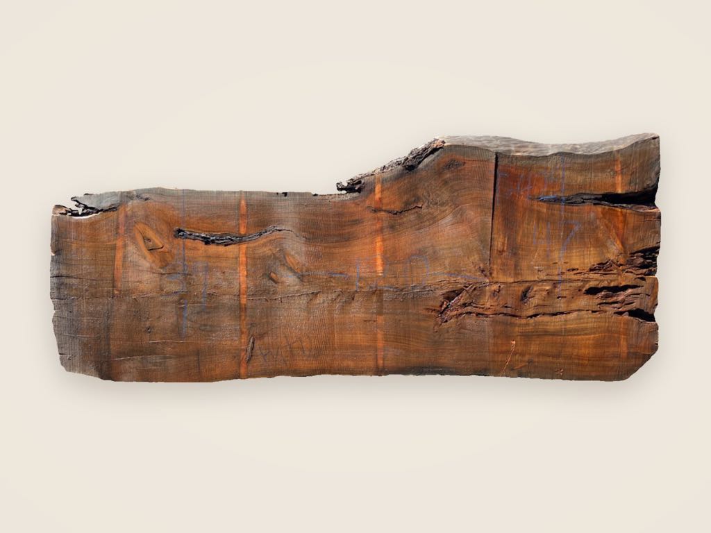 Slab MC 27, Monterey cypress